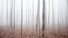 large_when-god-seems-silent-nj7cg6wi