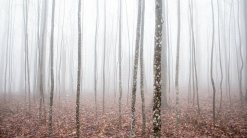 large_when-god-seems-silent-nj7cg6wi