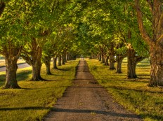 hdr-pathway-by-darkphoenix36-on-deviantart_pathway-pictures_small-bedroom-decoration-architecture-blog-loft-bed-ideas-for-rooms-bathroom-apartments-stairway-chimney-christmas-