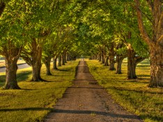 hdr-pathway-by-darkphoenix36-on-deviantart_pathway-pictures_small-bedroom-decoration-architecture-blog-loft-bed-ideas-for-rooms-bathroom-apartments-stairway-chimney-christmas-